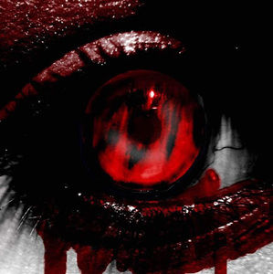 Meet your Posher, Evelynne